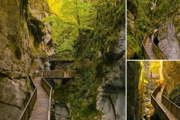 Pınarbaşı Horma Kanyonu’nun Büyüleyici Sonbahar Manzaraları