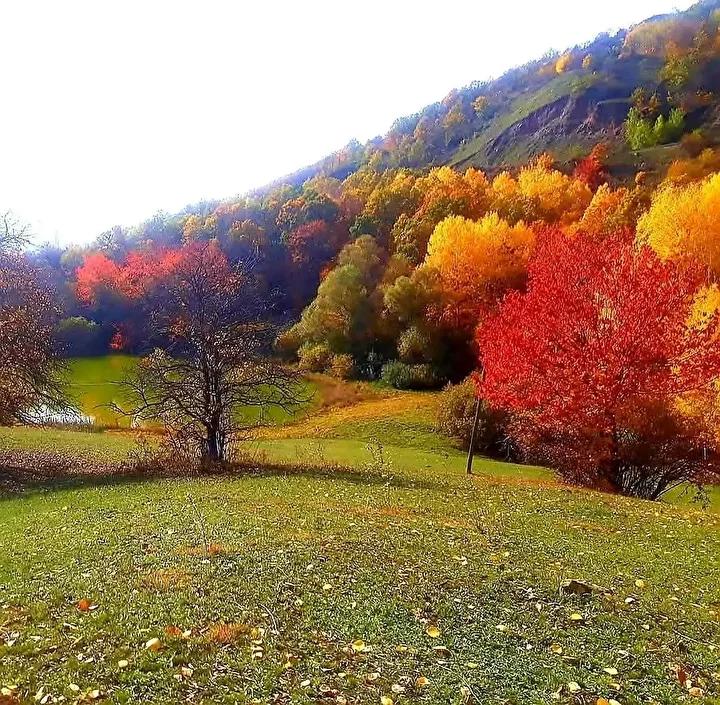 Posof'da Eylül Ayında Doğanın Büyüleyici Renkleri