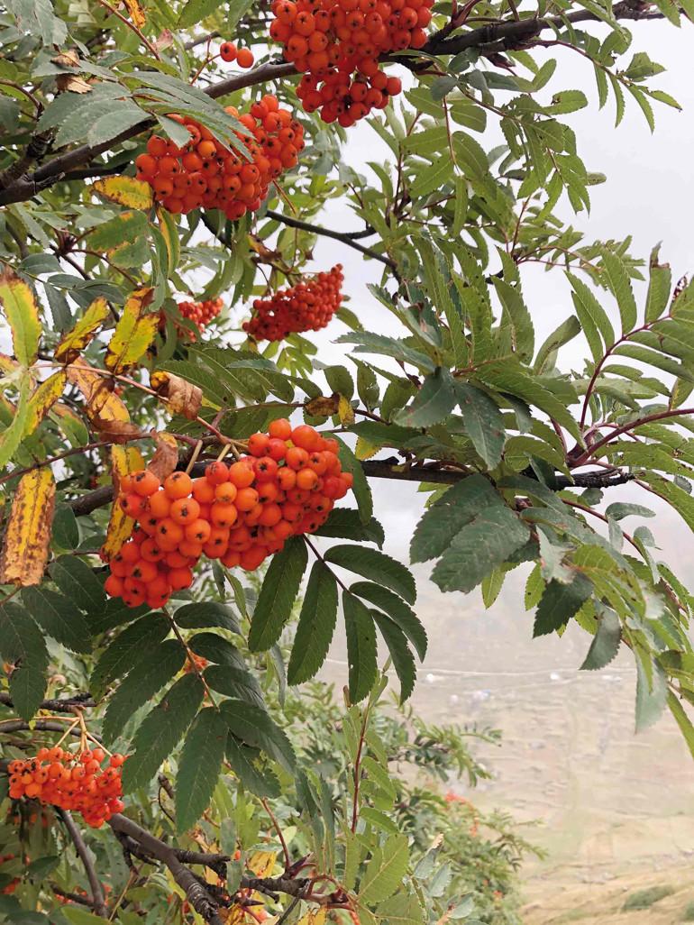 Buzul Gölleri ve Doğanın Sırları