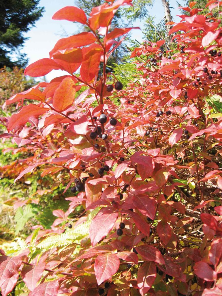Yola Çıkmadan Önce Hazırlıklar