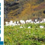 Rize8217nin Doga Harikasi Kackarlar ve Camlihemsin Rotasi