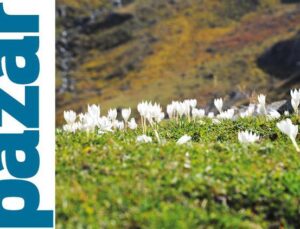 Rize’nin Doğa Harikası Kaçkarlar ve Çamlıhemşin Rotası