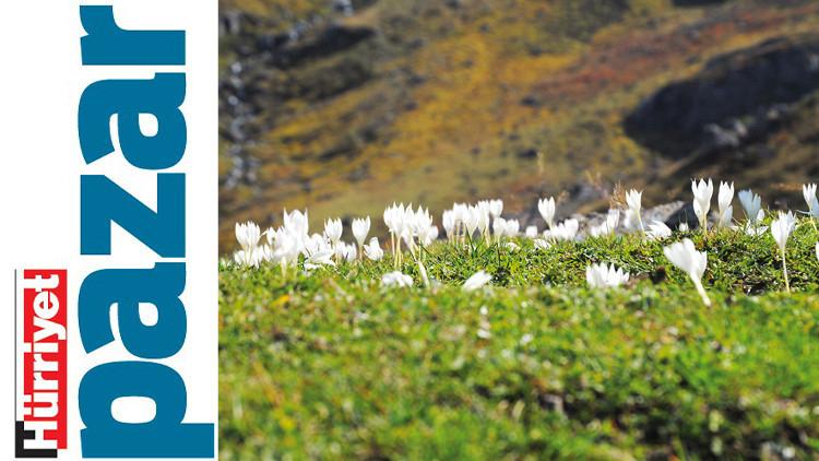 Rize’nin Doğa Harikası Kaçkarlar ve Çamlıhemşin Rotası