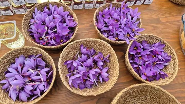 Safran Hasadı ve Piyasa Değeriyle Çekim Merkezi Olmaya Devam Ediyor 7 Safran Hasadı ve Piyasa Değeriyle Çekim Merkezi Olmaya Devam Ediyor