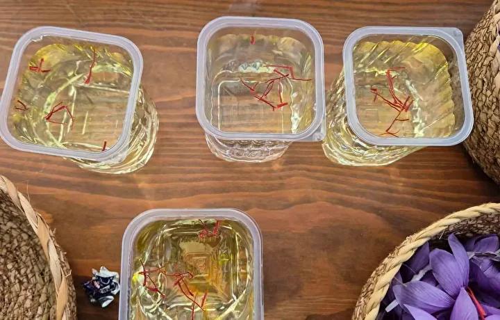 Safran Hasadı ve Piyasa Değeriyle Çekim Merkezi Olmaya Devam Ediyor 8 Safran Hasadı ve Piyasa Değeriyle Çekim Merkezi Olmaya Devam Ediyor