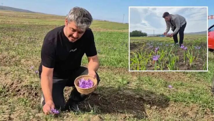 Safran Hasadı ve Piyasa Değeriyle Çekim Merkezi Olmaya Devam Ediyor