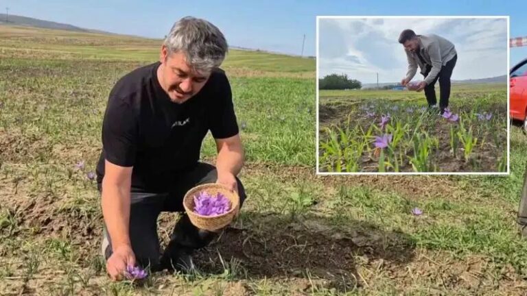 Safran Hasadi ve Piyasa Degeriyle Cekim Merkezi Olmaya Devam Ediyor