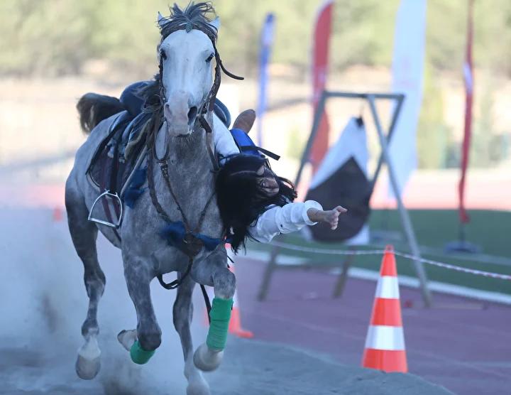Şanlıurfa'da Geleneksel Atlı Sanat Gösterisi Büyük Beğeni Topladı