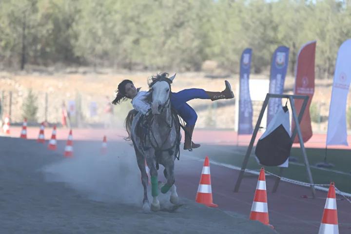 Şanlıurfa'da Geleneksel Atlı Sanat Gösterisi Büyük Beğeni Topladı