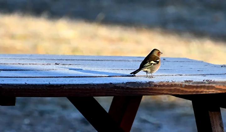Sifirin Altinda Hava Sicaklari ve Doga Manzaralari Sifirin Altinda Hava Sicaklari ve Doga Manzaralari