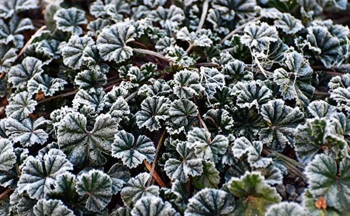 Sifirin Altinda Hava Sicaklari ve Doga Manzaralari Sifirin Altinda Hava Sicaklari ve Doga Manzaralari