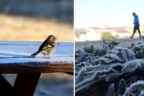 Sıfırın Altında Hava Sıcakları ve Doğa Manzaraları