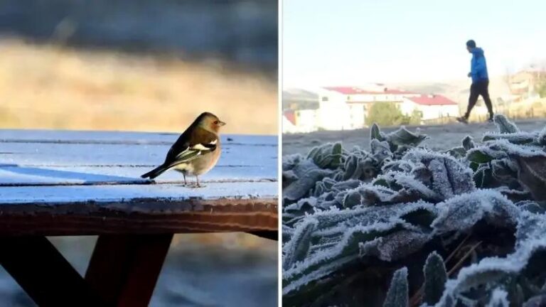 Sifirin Altinda Hava Sicaklari ve Doga Manzaralari