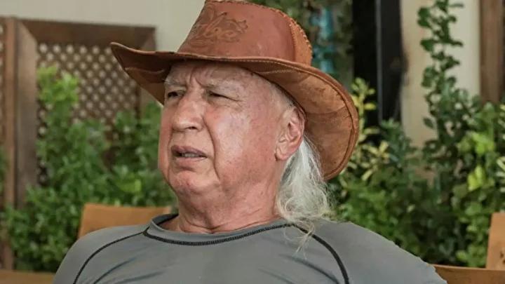 Uzman Analizi ve Bölgedeki Aktivitenin Doğası