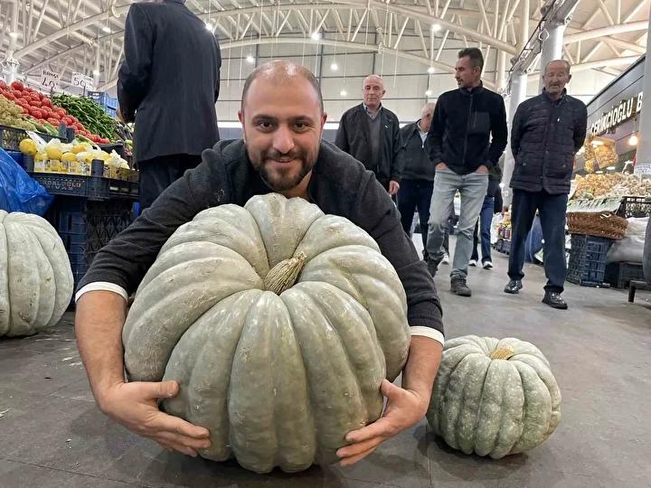 Görüntülerin ve Fiyatın Özelliği