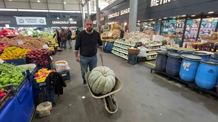 Görüntülerin ve Fiyatın Özelliği