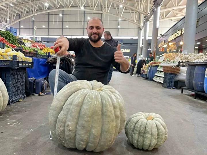 Görüntülerin ve Fiyatın Özelliği