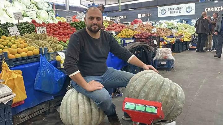 Sivas'ta Eşsiz Dev Bal Kabağı Görücüye Çıktı