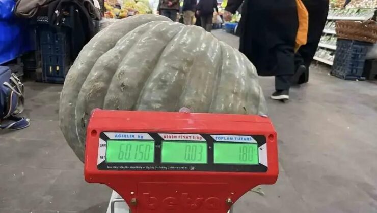 Sivas’ta Eşsiz Dev Bal Kabağı Görücüye Çıktı