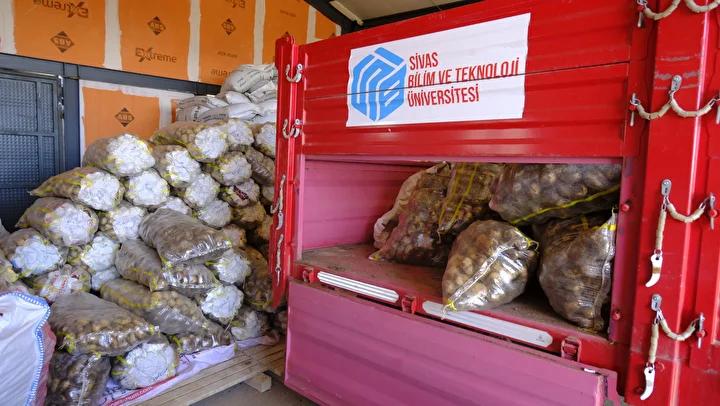 Sivas'ta Patates Çeşitleri Üzerinde Yürütülen Yenilikçi Adaptasyon Çalışmaları 6 Sivas'ta Patates Çeşitleri Üzerinde Yürütülen Yenilikçi Adaptasyon Çalışmaları