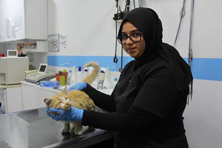 FIV ve İnsanlarla Karşılaştırması