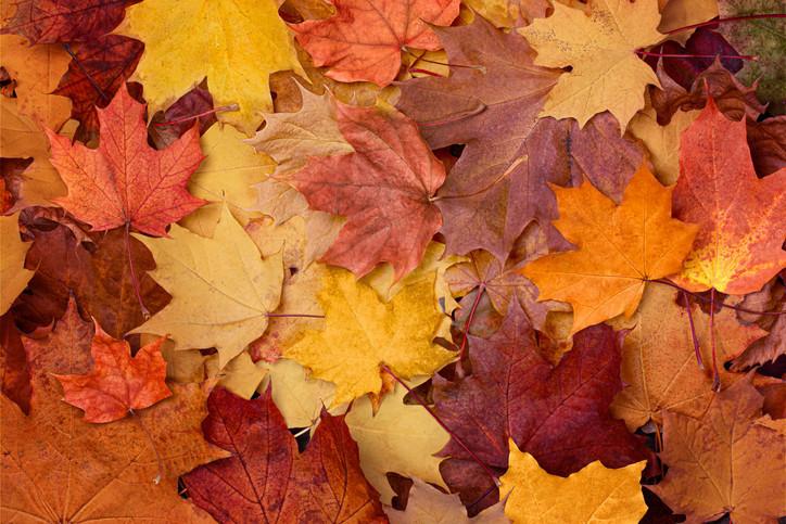 Mevsim Normalleri ve Hava Durumu