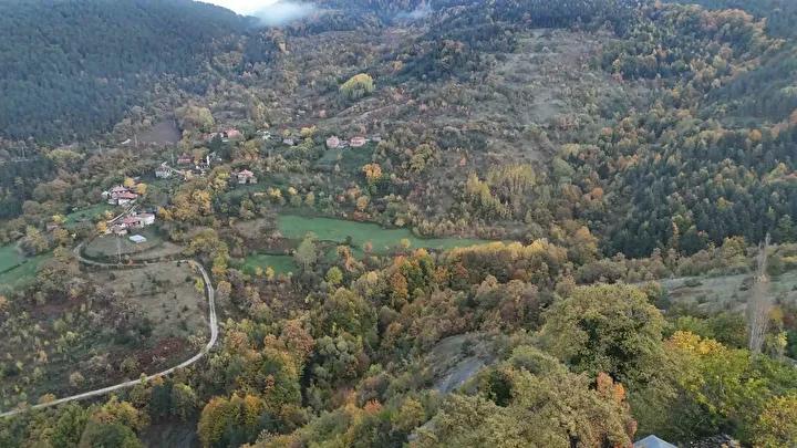 Sonbaharda Sinop'un Renkli Orman Manzaraları ve Doğa Tutkunlarına Davet