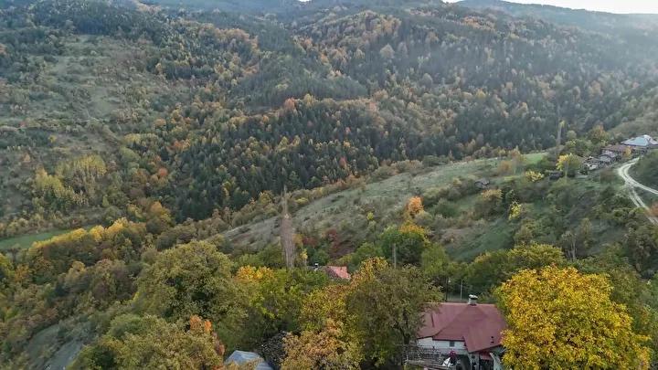 Sonbaharda Sinop'un Renkli Orman Manzaraları ve Doğa Tutkunlarına Davet