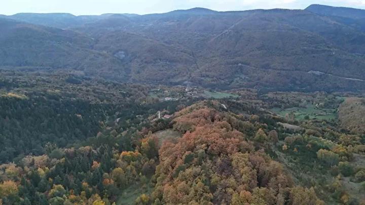 Sonbaharda Sinop'un Renkli Orman Manzaraları ve Doğa Tutkunlarına Davet
