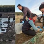 Su Urunleri Koruma Calismalari Seben Goleti8217nde Hiz Kesmeden Suruyor