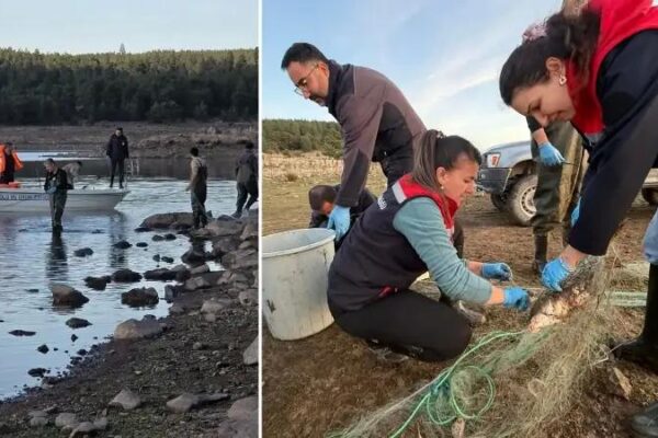 Su Ürünleri Koruma Çalışmaları Seben Göleti’nde Hız Kesmeden Sürüyor
