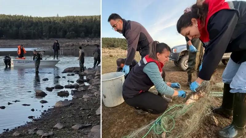 Su Ürünleri Koruma Çalışmaları Seben Göleti’nde Hız Kesmeden Sürüyor