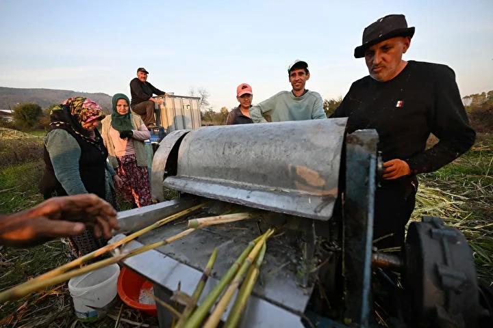 Tepekoy Kadin Girisimci Devrimi Seker Kamisi Pekmezi Uretiminde Destek ve Tepekoy Kadin Girisimci Devrimi Seker Kamisi Pekmezi Uretiminde Destek ve Basari Hikayesi
