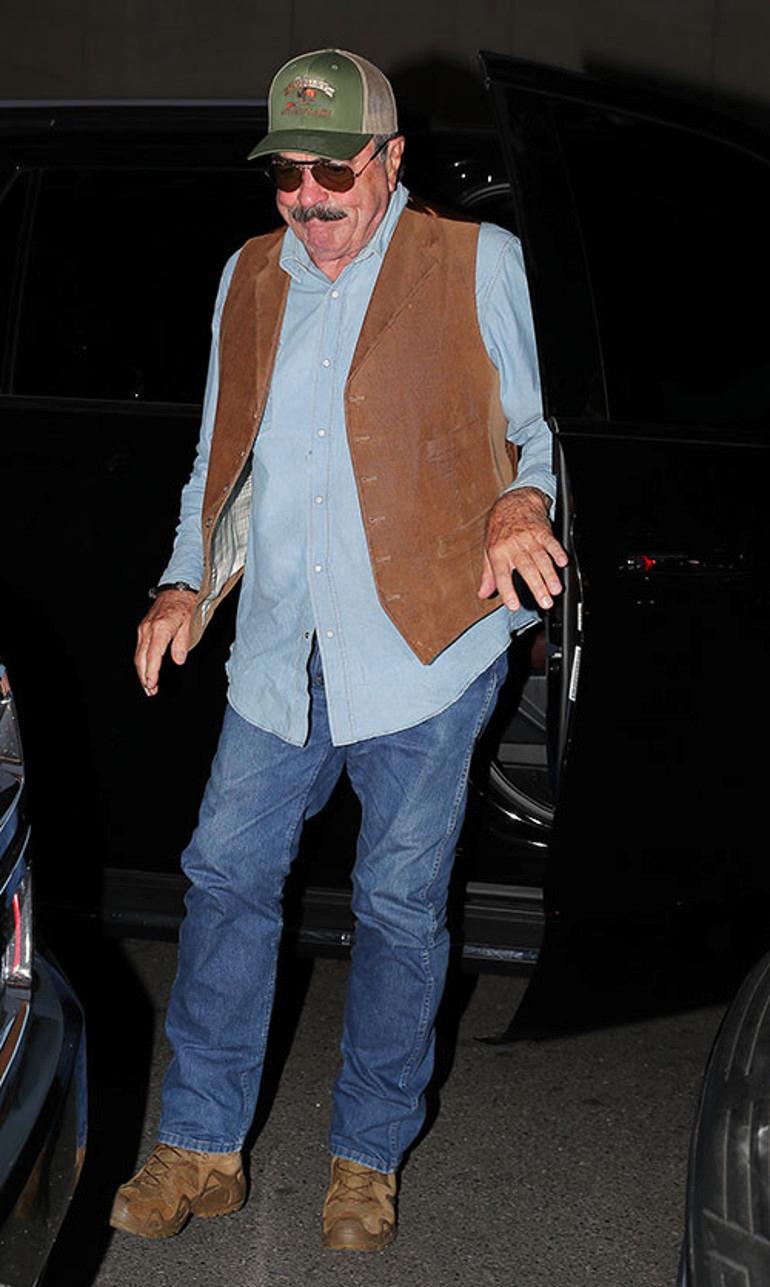 Avokado Agaclarina Dair Notlar