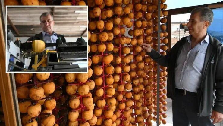 Trabzon Hurmasının Kurutulmuş Lezzetiyle Yeni İş Fırsatları