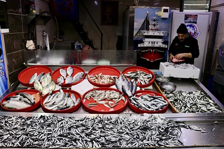 Trabzon’da Balık Pazarında Hamsi ve Diğer Balıkların Güncel Fiyatları