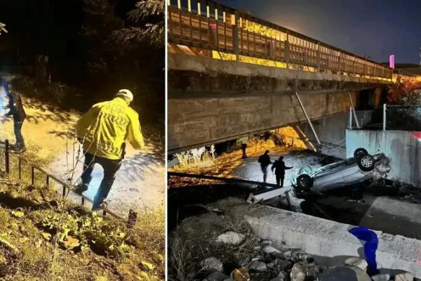 Tunceli’de Trafik Kazası: Bir Sürücü Hayatını Kaybetti