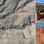 Unutulmus Bir Koyun Hikayesi Pirikli8217nin Son Gunleri ve Anilari