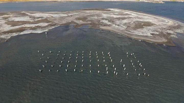 Van Gölü kıyılarında yaşanan çekilmeye ilişkin son gelişmeler