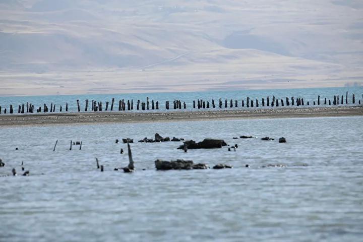 Van Gölü kıyılarında yaşanan çekilmeye ilişkin son gelişmeler