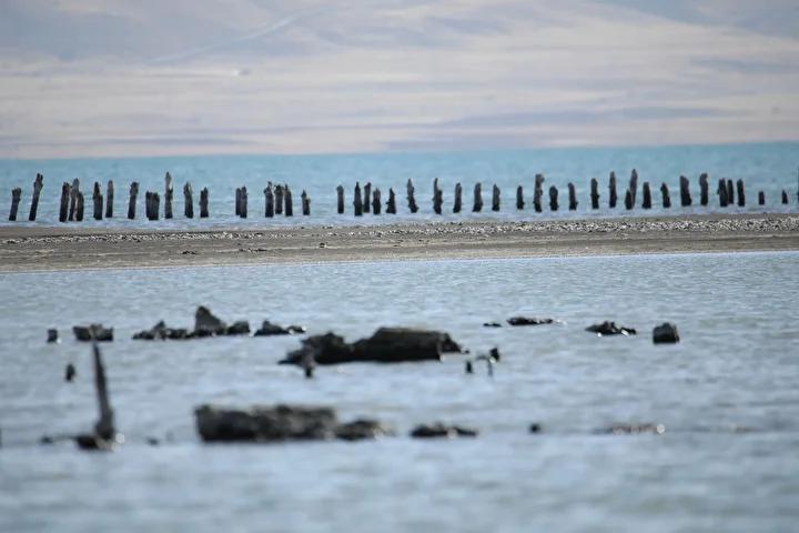 Van Gölü kıyılarında yaşanan çekilmeye ilişkin son gelişmeler
