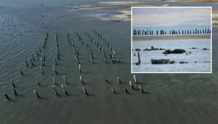 Van Gölü kıyılarında yaşanan çekilmeye ilişkin son gelişmeler