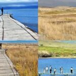 Van Golu8217nun Ciddi Cekilme Sorunu ve Son Durum Analizi