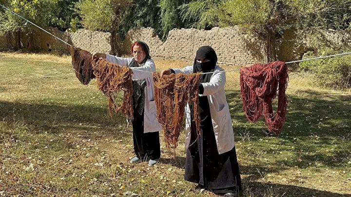 Van Olgunlaşma Enstitüsü'nün Geleneksel Kök Boyacılığı ve Yün İşleme Çalışmalarıyla Kültürel Mirasın Yaşatılması