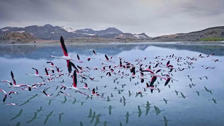 Yarışlı Gölü'nün Son Durumu ve Çevresel Değişiklikler