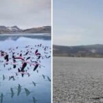 Yarisli Golu8217nun Kuruyan Tarihi ve Cevresel Etkileri