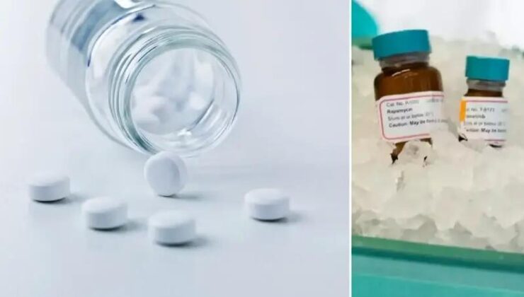 Yaşlanma Karşıtı Yeni Kombinasyonun Beklenmedik Sonuçları