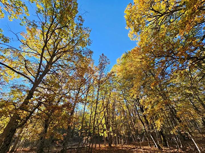 Doğa Eğitimi ve Bilimsel Çalışmalar