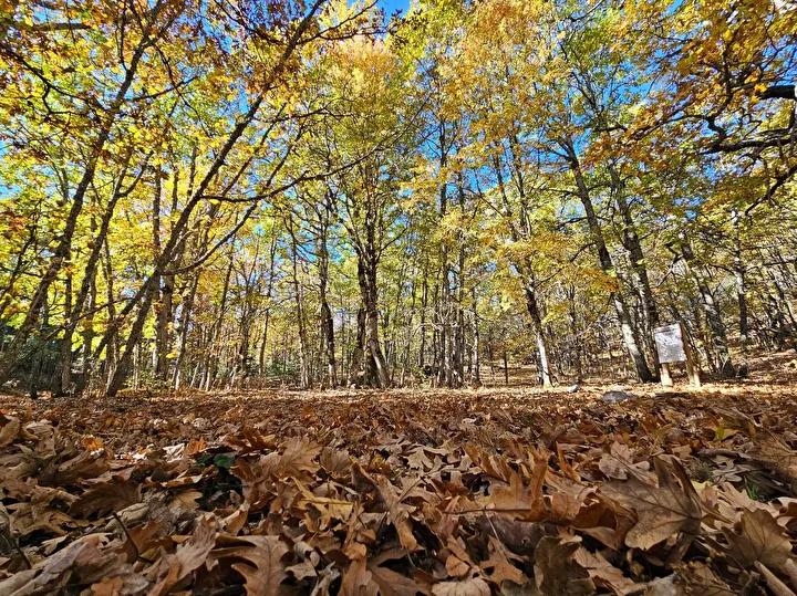 Doğa Eğitimi ve Bilimsel Çalışmalar