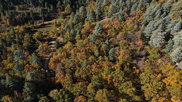 Doğa Eğitimi ve Bilimsel Çalışmalar
